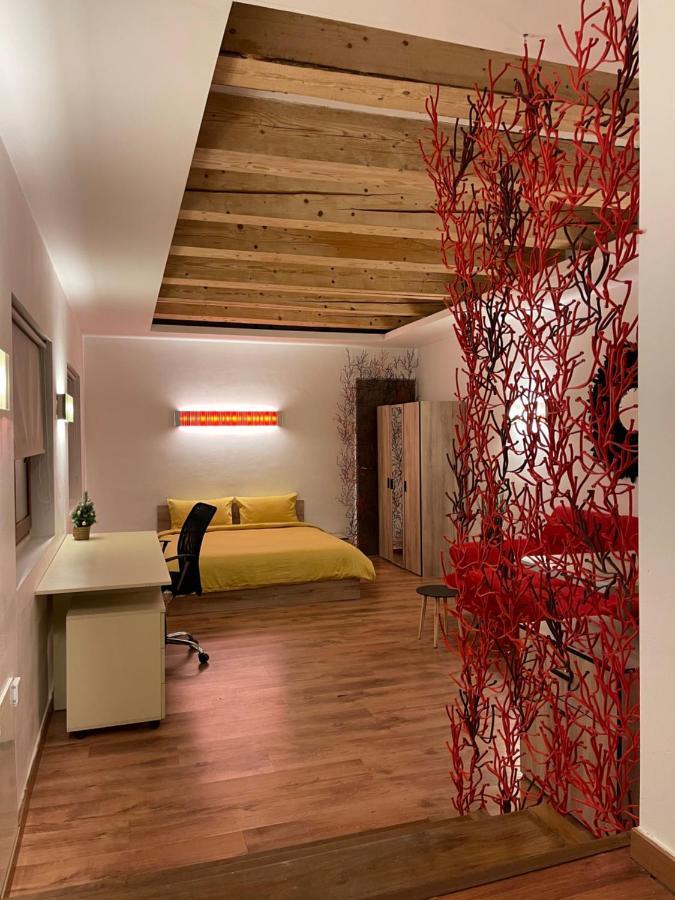 New Workspace Studio Savoya9 Self Check In Old City Center تيميشورا المظهر الخارجي الصورة