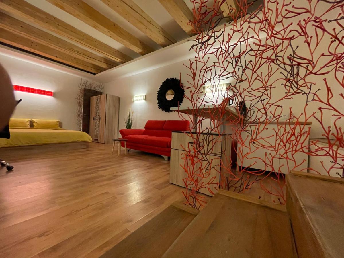 New Workspace Studio Savoya9 Self Check In Old City Center تيميشورا المظهر الخارجي الصورة